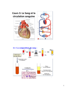Cours 3: Le Sang et la circulation sanguine - Fichier