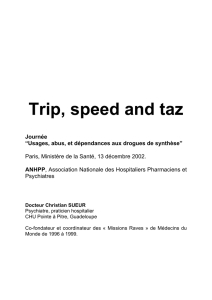 Trip, speed and taz - Journée