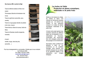 Les herbes du Valtin Production de plantes aromatiques