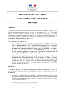 SYNTHESE BPCOv4 - Ministère des Affaires sociales et de la Santé