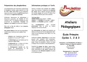 Ecole Primaire cycles I, II et III