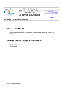 prise_en_charge_des_entorses_de_cheville ( PDF