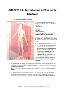 CHAPITRE 1. Introduction à l`Anatomie Générale