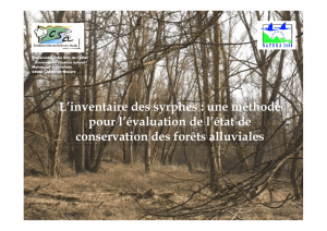 L`inventaire des syrphes - Centre de Ressources Loire Nature