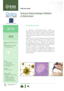 USC 707 IECM Immuno Endocrinologie Cellulaire et Moléculaire