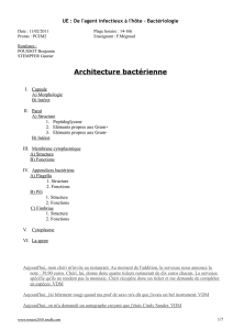 Architecture bactérienne - Fichier