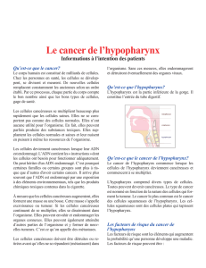 Le cancer de l`hypopharynx