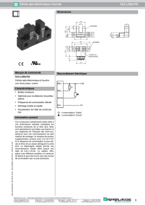 1 Cellule opto-électronique à fourche GL5-L/28a/155