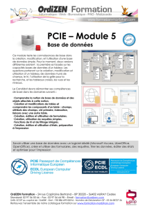 PCIE – Module 5 Base de données