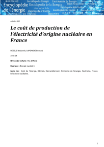 Le coût de production de l`électricité d`origine nucléaire en France