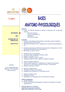 Bases anatomo physiologique