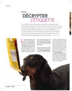 décrypter - PetMarket Magazine