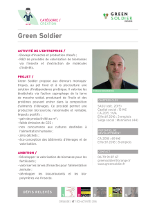 Green Soldier - Crisalide Eco