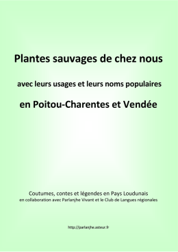Lepidium Latifolium Contre Indications – pusheveryone.com Lepidium Latifolium Contre Indications – pusheveryone.com