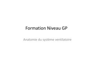 GP_5_Anatomie du système ventilatoire