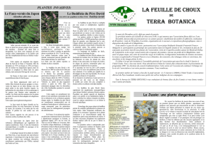 FC 59 Décembre 2006 - Terra Botanica Thouars