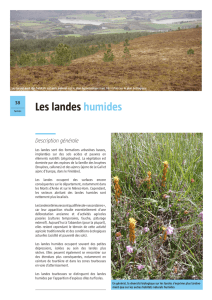 Les landes humides - Zones Humides Finistère