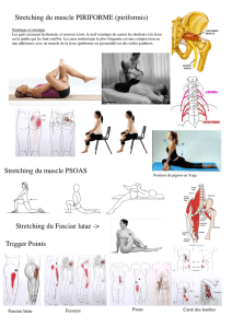 Stretching du muscle PSOAS Stretching du muscle PIRIFORME