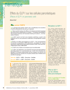 Effets du GLP-1 sur les cellules pancréatiques – Effects of
