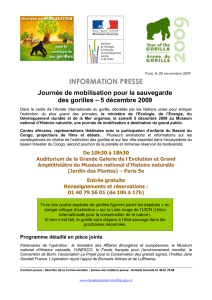 20.11.09 - Information Presse - Journée Gorille