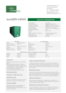 ecoGEN140-SG - Innov-Energies : Micro/mini cogénération gaz et