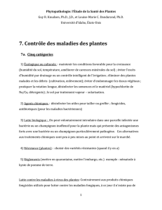 7. Contrôle des maladies des plantes