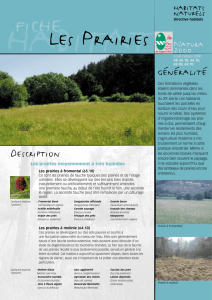 généralité Description - Parc naturel régional des Vosges du Nord