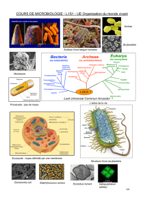 Poly Figures S1 microbio 2014