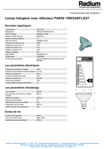 Lampe halogène avec réflecteur PAR30 75W/230/FL/E27