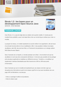Struts 1.2 : les bases pour un développement Open Source Java