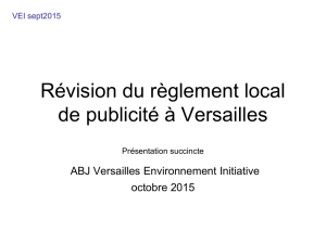 Révision du règlement local de publicité à Versailles