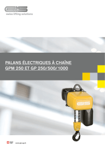 palans électriques à chaîne gpm 250 et gp 250/500/1000