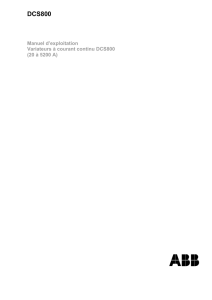 DCS800 Firmware Manual