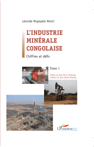 1 l`industrie minérale congolaise