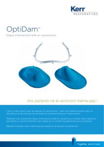 OptiDam - Kerr Dental Corporation