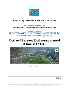 Notice d`Impact Environnemental et Social (NIES)