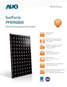 SunForte PM096B00