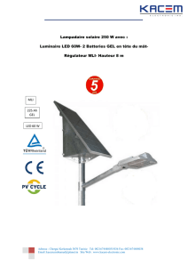 Lampadaire solaire 250 W avec : Luminaire LED 60W