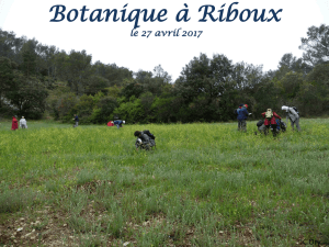 Botanique à Riboux le 27 avril 2017
