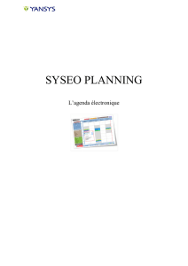 syseo planning