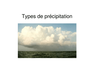 Types de précipitation