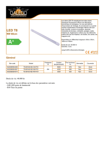 Tube LED 60cm - Luminus Leds