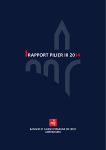 rapport pilier iii 2014