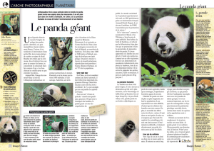 Panda (PDF 280.75 Ko) - L`arche photographique