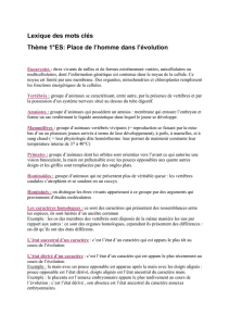 Lexique des mots clés - CRDP de l`académie de Montpellier