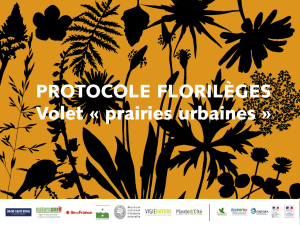 Protocole Florilèges, Volet prairies urbaines