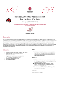 Developing Workflow Applications with Red Hat JBoss BPM Suite