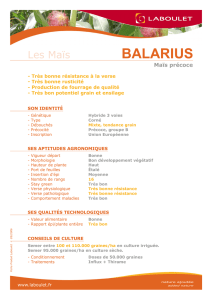 balarius - Emergence agro