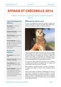 effraie et crécerelle 2016 - Groupe Ornithologique de Baulmes et