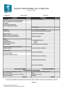 Formulaire document comptable (298.77 Ko - pdf)
